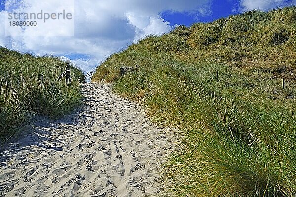 Zugang zum Strand am Ellenbogen  List  Sylt  nordfriesische Inseln  Nordfriesland  Schleswig-Holstein  Deutschland  Europa