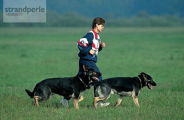 Junge Frau joggt mit Deutschen Schäferhunden  Deutscher Schäferhund  Schäferhund  Seite