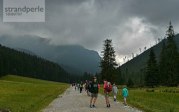 Wanderer  Bergalm  Dolina Koscieliska  Hohe Tatra  Polen  Europa