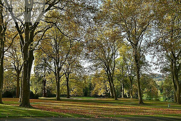 Park  Villa Hügel  Essen  Nordrhein-Westfalen  Deutschland  Europa