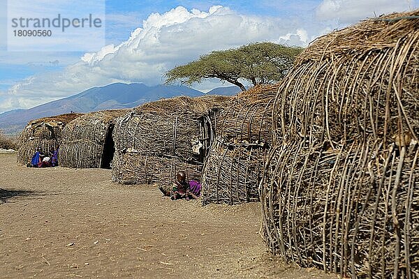 Massai-Dorf  Hütten  Massai  Tansania  Afrika