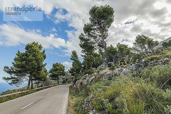 Nördliche Küstenstraße  Mallorca  Spanien  Europa