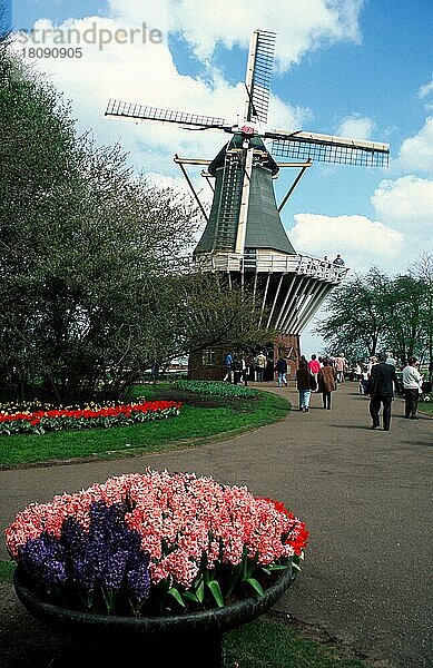 Windmühle  Keukenhof Garden  Lisse  Niederlande  Keukenhof  Park  Europa  Frühling  Menschen  people  Gruppen  groups  Europa