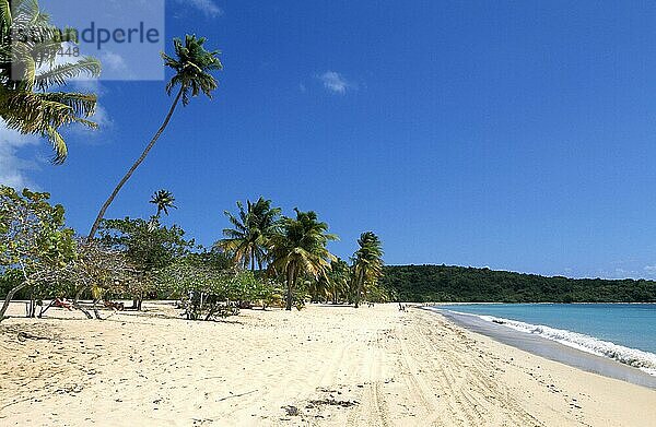 Sun Bay Beach auf der Insel Vieques  Puerto Rico  Karibik  Nordamerika