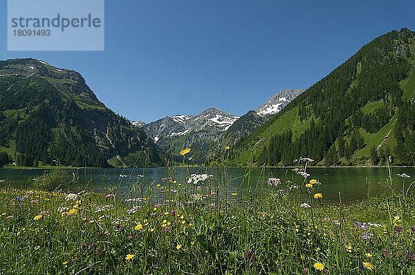 Vilsalpsee  Naturschutzgebiet Vilsalpsee  Tannheimer Tal  Tirol  Österreich  Europa