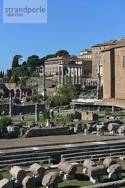 Forum Romanum  Rom  Italien  Europa