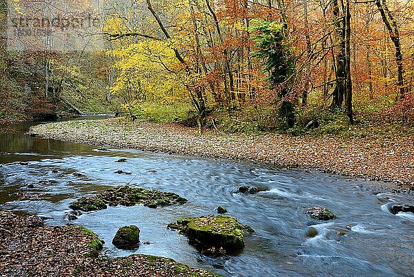 Wutachschlucht  Wildfluss Wutach  Naturschutzgebiet  Schwarzwald  Naturpark Südschwarzwald  Hochschwarzwald  Baden-Württemberg  Deutschland  Europa