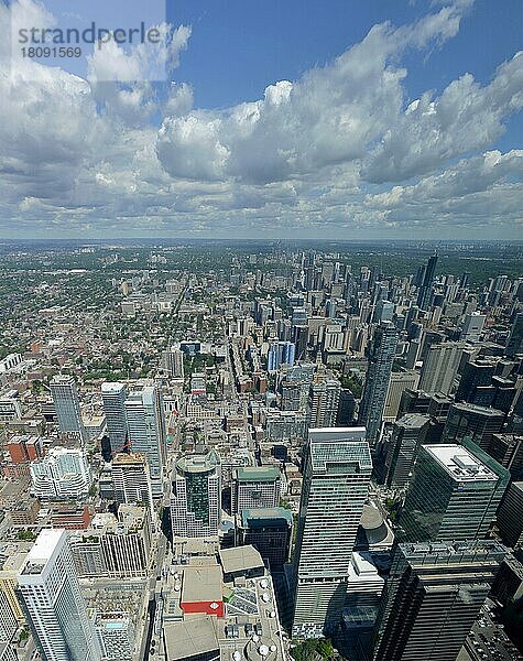 Financial District  Finanzdistrikt  Downtown  Toronto  Ontario  Kanada  Nordamerika