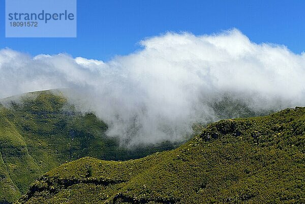 Insel Madeira  Portugal  Europa