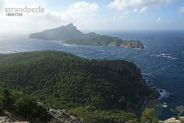 Blick zur Insel Sa Dragonera  Mallorca  Balearen  Spanien  Europa