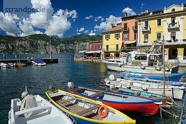 Malcesine  Hafen  Gardasee  Provinz Verona  Region Venetien  Italien  Europa