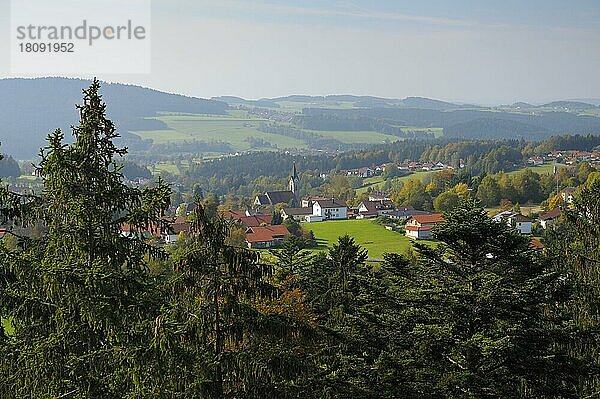 Blick auf Neuschönau vom Baumwipfelpfad  Oktober  Nationalpark Bayerischer Wald  Bayern  Deutschland  Europa