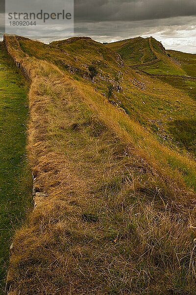 Hadrianswall  Hexham  Northumberland  England  Großbritannien  Europa