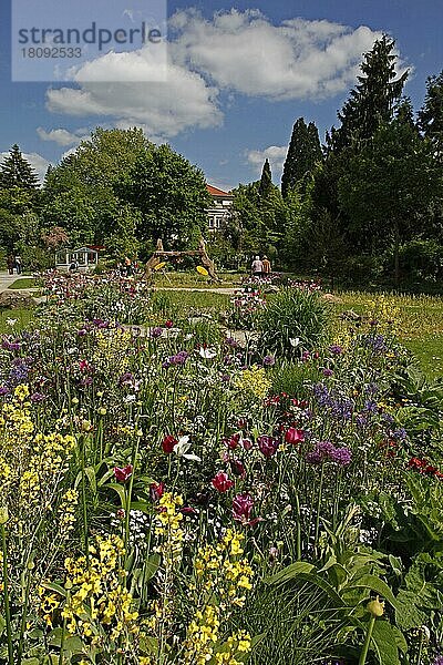 Botanischer Garten  Frühling  Erlangen  Bayern  Deutschland  Europa