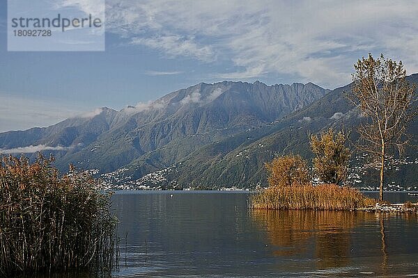 Lago Maggiore  Ascona  Bezirk Locarno  Kanton Tessin  Langensee  Ticino  Schweiz  Europa