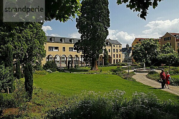 Schulgarten  Kronberg im Taunus  Hessen  Deutschland  Europa