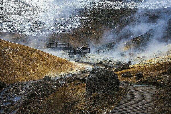 Geothermiegebiet  Fumarolen von Seltun  Krysavik  Island  Europa