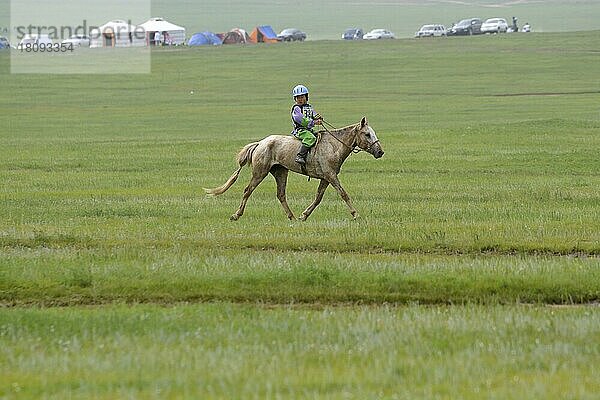 Pferderennen beim National-Naadaam  Ulaanbaatar  Mongolei  Asien