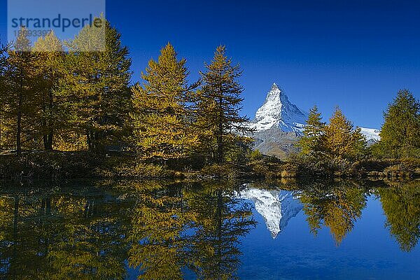 Matterhorn und Grindjisee  Wallis  Schweiz  Europa