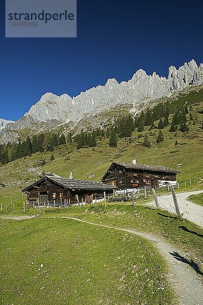 Alm beim Arthurhaus in Mühlbach vor den Mandlwänden des Hochkönigs im Pinzgau/Pongau im Salzburger Land  Österreich  Europa