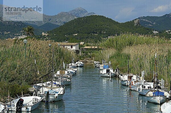 Kleiner Fischerhafen in Fluss  Port d'Andratx  Mallorca  Balearen  Spanien  Europa