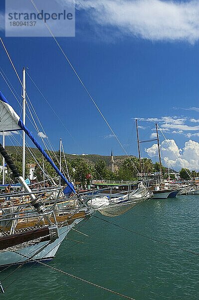 Yachthafen mit Güllet  Güllettboote in Bodrum  türkische Ägäis  Ägäis  Türkei  Asien