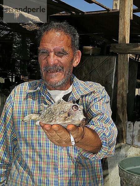 Mann  Trockenfisch  Fischmarkt  Hurghada  Ägypten  Afrika