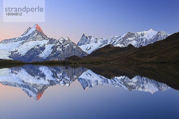 Bachalpsee  Schreckhorn  4078 m  Finsteraarhorn  4274 m  Berner Oberland  Schweiz  Alpenglühen  Europa