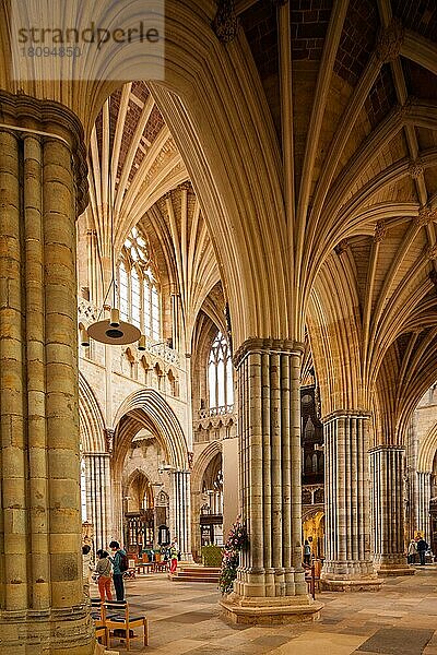 Kathedrale  Exeter  Devon  England  Großbritannien  Europa