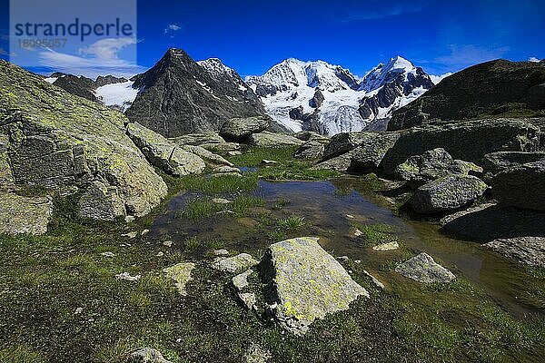 Piz Tschierva  3546 m  Piz Bernina  4049 m  Biancograt  Piz Roseg  3937 m  Blick von Fuorcla Surlej  Graubünden  Schweiz  Europa