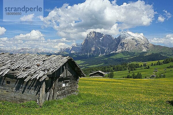 Almhütten auf der Seiser Alm mit der Sella-Gruppe  Plattkofel und Langkofel  Dolomiten  Trentino Südtirol  Italien  Europa