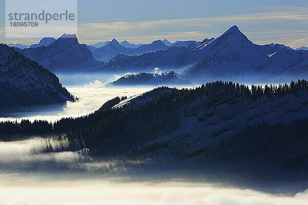 Mattstock und Speer  Blick vom Kronberg  Innerschweizer Alpen  Zentralschweiz  Schweiz  Europa