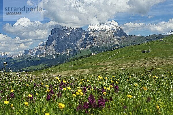 Seiser Alm mit Plattkofel und Langkofel  Dolomiten  Trentino Südtirol  Italien  Europa