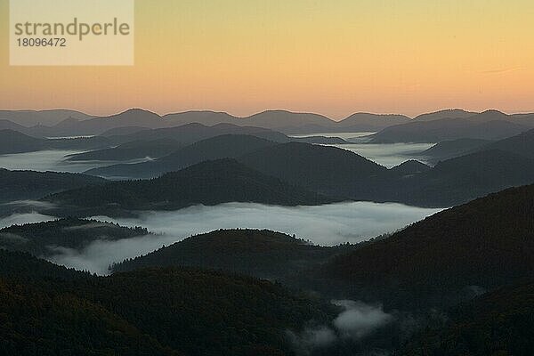 Pfälzer Wald  Blick von Burgruine Lindelbrunn  Dahner Felsenland  Dahn  -Rheinland-Pfalz  Deutschland  Europa