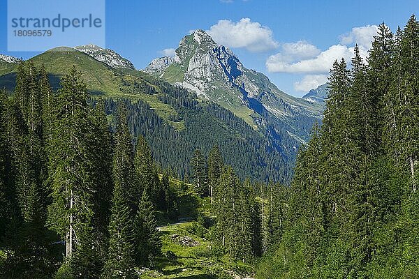 Glarner Alpen am Pragelpass  Schweiz  Europa