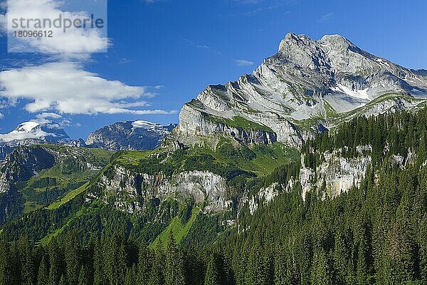 Ortstock  Braunwald  Glarus  Glarner Alpen  Schweiz  Europa