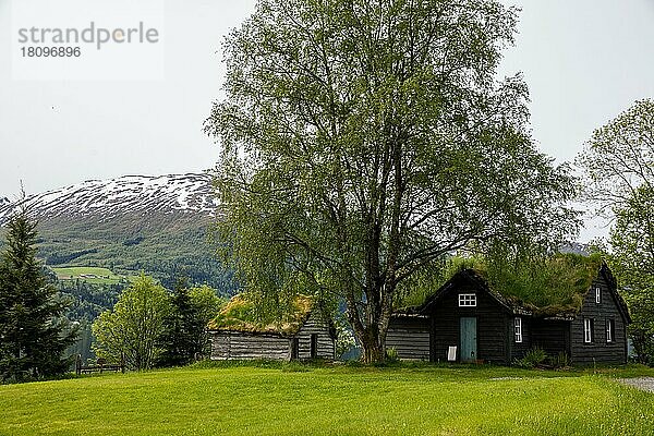 Bauernhof  Jolstravatnet  Sogna og Fjordane  Norwegen  Europa