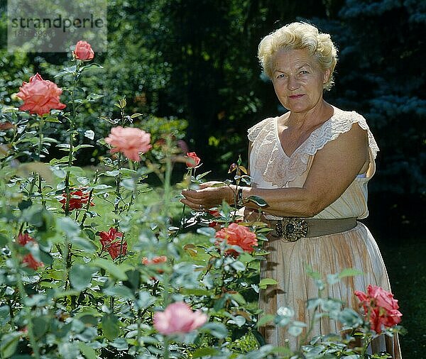 Frau im Garten Rosen schneiden