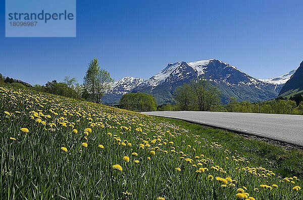 Brulandselva  Snofjellet  Breheimen National Park  Sogn og Fjordane  Norwegen  Snöfjellet  Europa