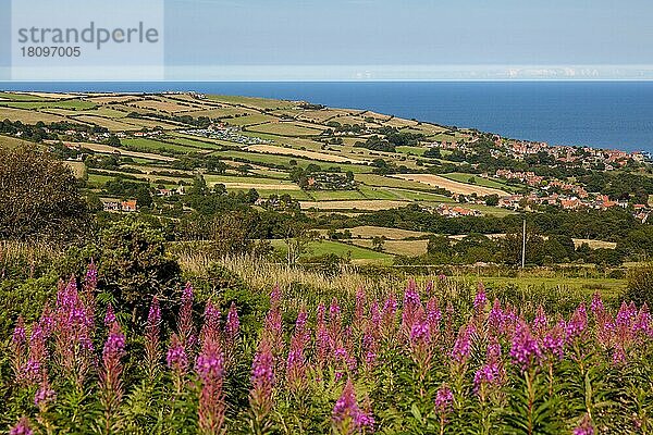 Robin Hood Bay  Yorkshire  Uk