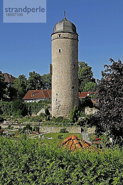 Sackturm  erbaut 1443  Warburg  Ldkrs. Höxter  Nordrhein-Westfalen  Höxter  Deutschland  Europa