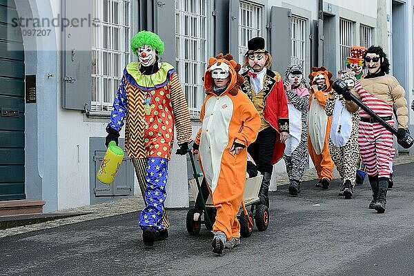 Fasnachts-Gruppe mit Piccolos  Flöten  Pfeifer-Gruppe  Basel  Schweiz  Europa