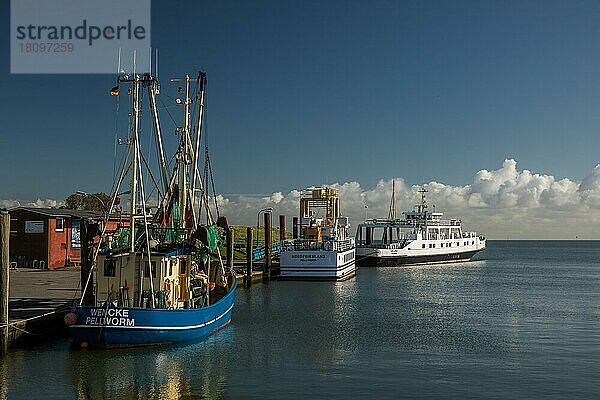 Fischerboote  Pellworm  Nordfriesland  Schleswig-Holstein  Deutschland  Europa