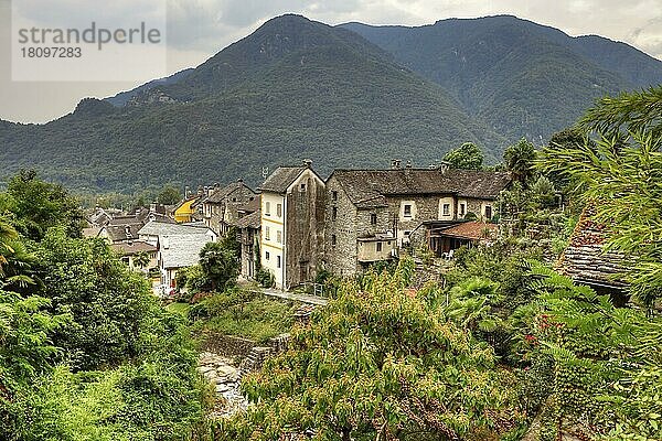 Verscio  Pedemonte  Tessin  Ticino  Schweiz  Europa