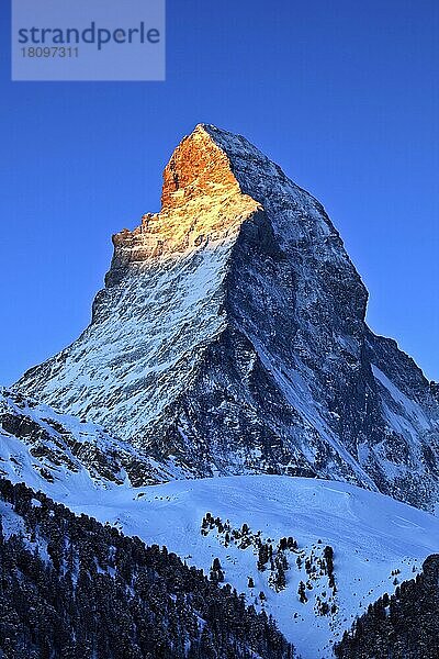 Matterhorn 4478 m  bei Zermatt  Schweiz  Europa