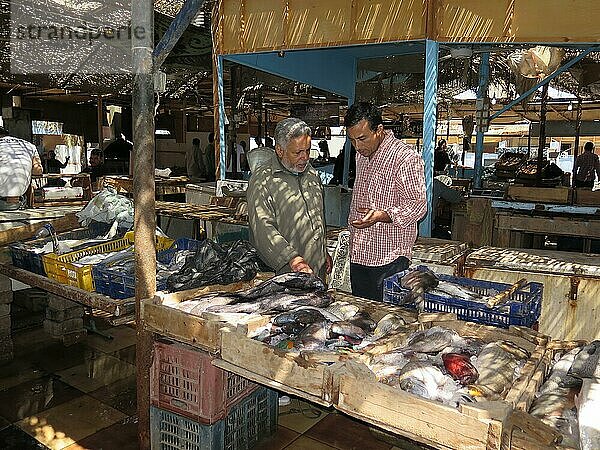 Fischmarkt  Hurghada  Ägypten  Afrika