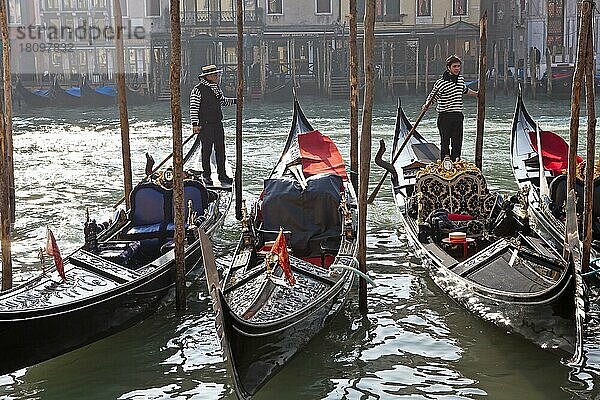 Gondeln  Gondoliere  Canal Grande  Cannaregio  Venedig  Venetien  Venezia  Regione del Veneto  Canale Grande  Italien  Europa