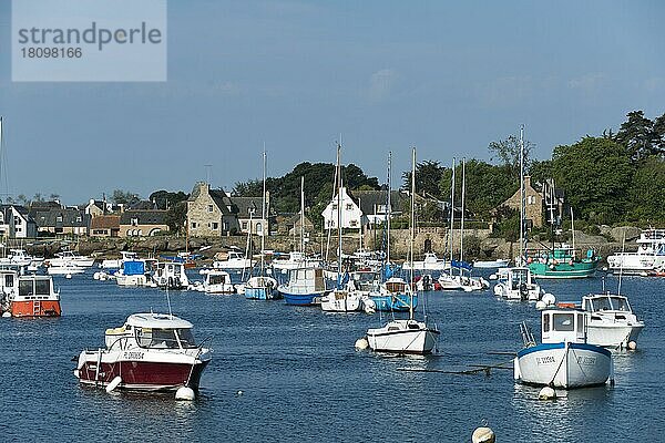 Bootshafen  Ploumanac?h  Côte de Granit Rose  Bretagne  Frankreich  Europa