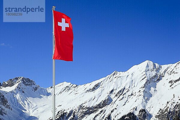 Schweizer Fahne  Berner Alpen  Bern  Schweiz  Europa