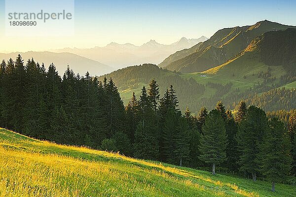 Schweizer Voralpen und Alpen  Bern  Schweiz  Europa